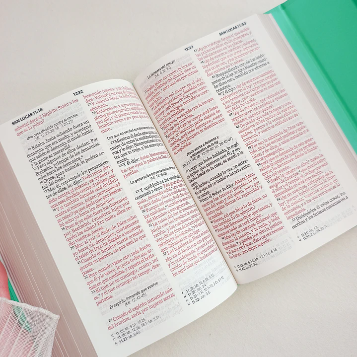 Biblia tipo cartera Reina Valera 1960 24