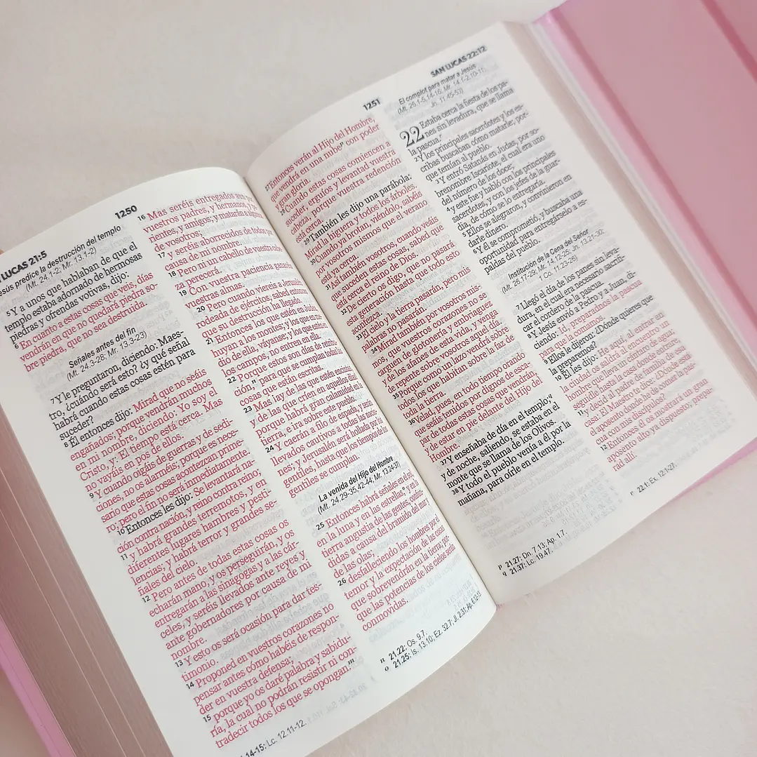 Biblia tipo cartera Reina Valera 1960 8