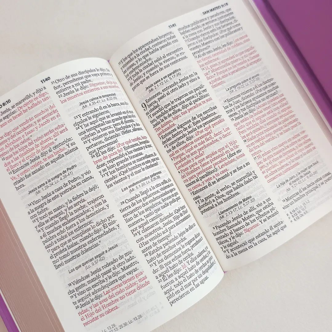 Biblia tipo cartera Reina Valera 1960 16