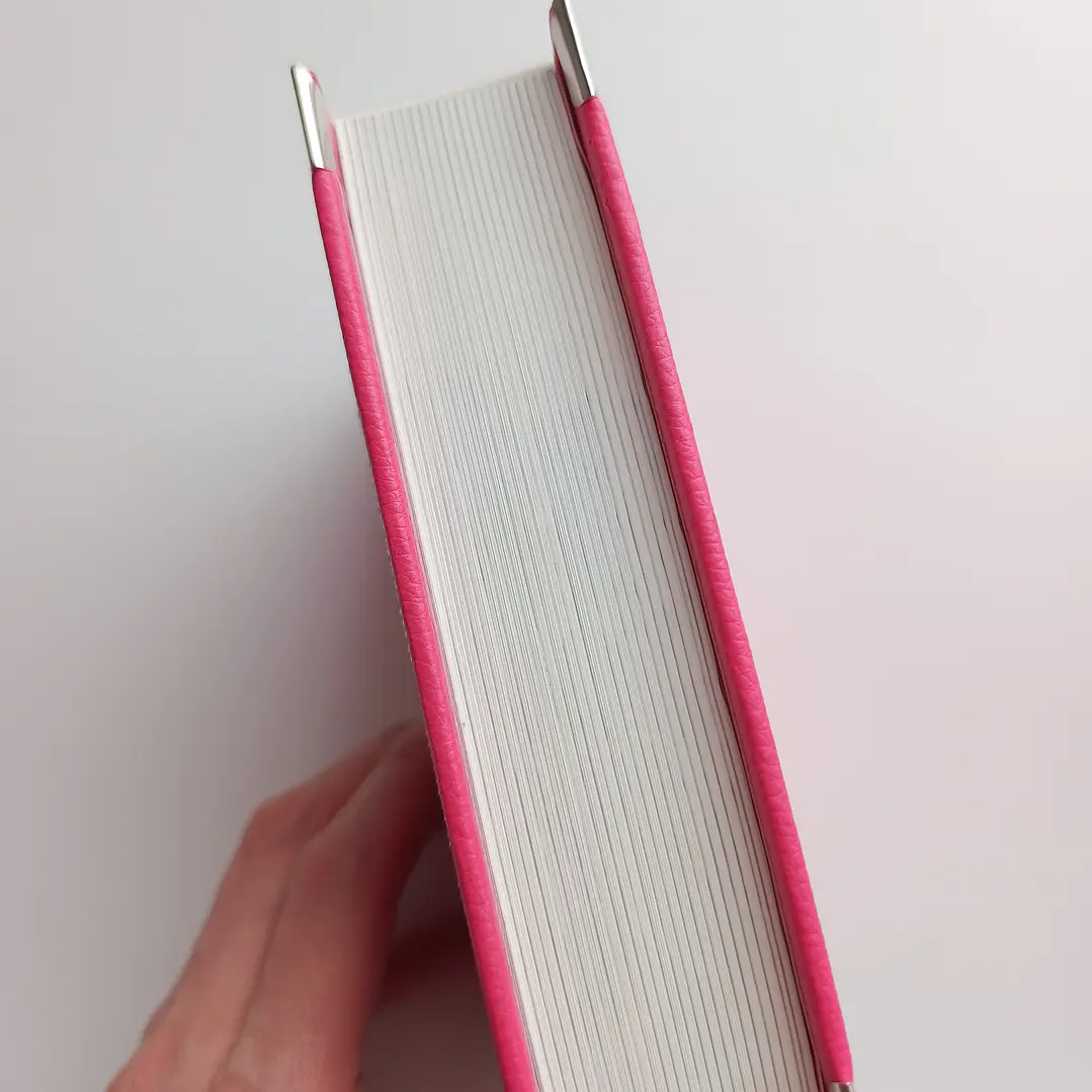 Biblia Niñas Ilustrada Reina Valera 1960 con elástico 2