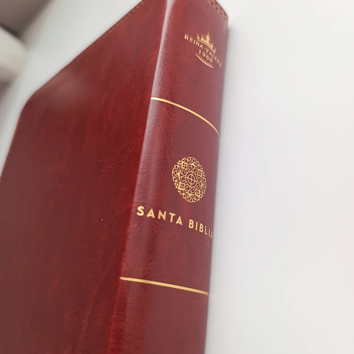 Biblia para apuntes Café Reina Valera 1960 3