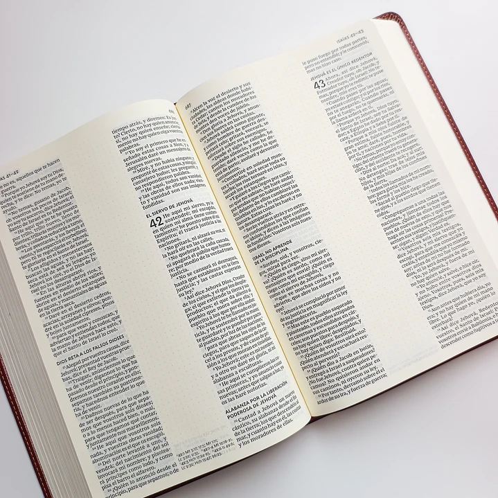 Biblia para apuntes Café Reina Valera 1960 5