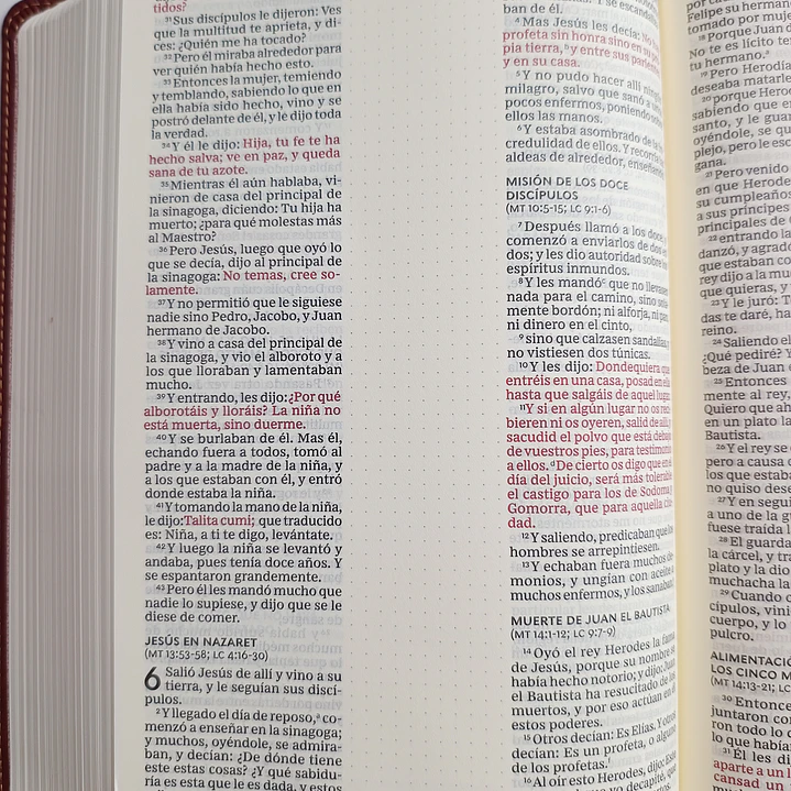 Biblia para apuntes Café Reina Valera 1960 6