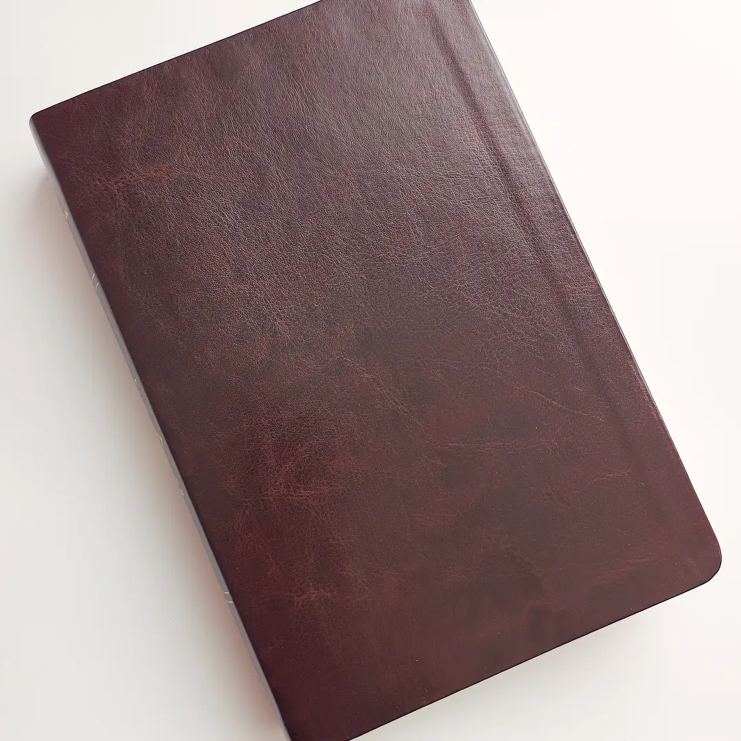 Biblia de Estudio Scofield Chocolate Reina Valera 1960 1