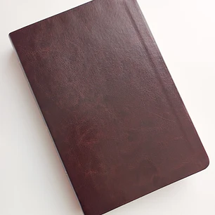 Biblia de Estudio Scofield Chocolate Reina Valera 1960
