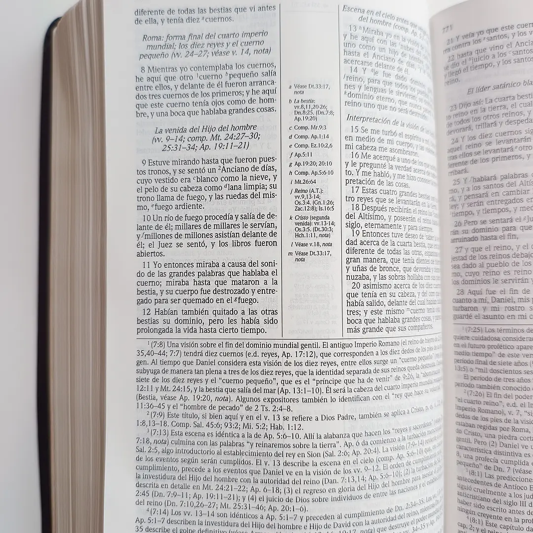 Biblia de Estudio Scofield Chocolate Reina Valera 1960 4