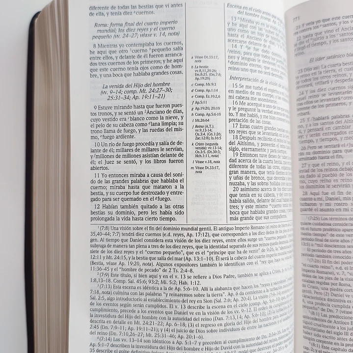 Biblia de Estudio Scofield Chocolate Reina Valera 1960 4