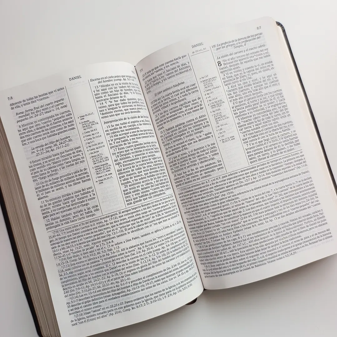 Biblia de Estudio Scofield Chocolate Reina Valera 1960 5