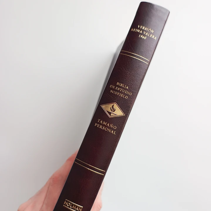 Biblia de Estudio Scofield Chocolate Reina Valera 1960 2