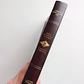 Biblia de Estudio Scofield Chocolate Reina Valera 1960 - Miniatura 2