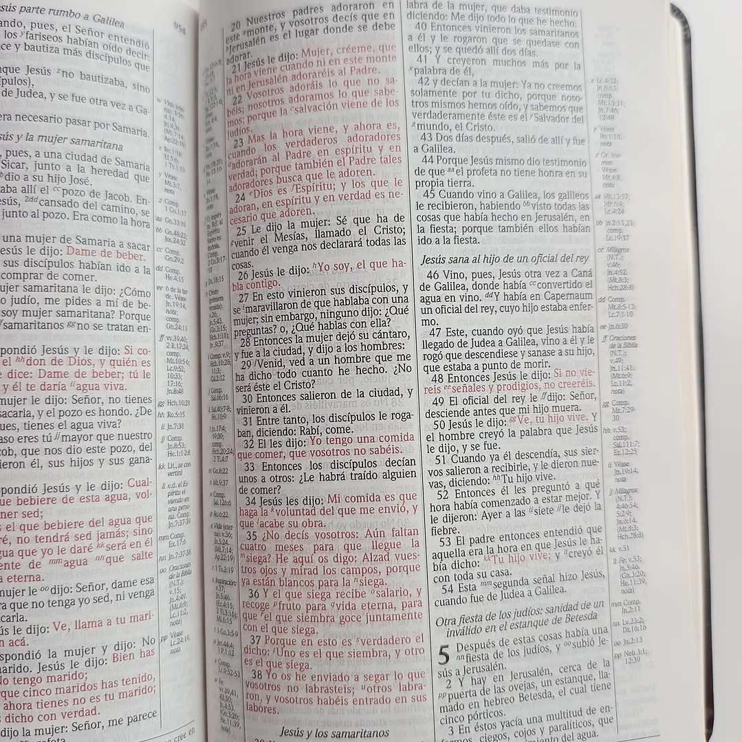 Biblia de Estudio Scofield Chocolate Reina Valera 1960 7