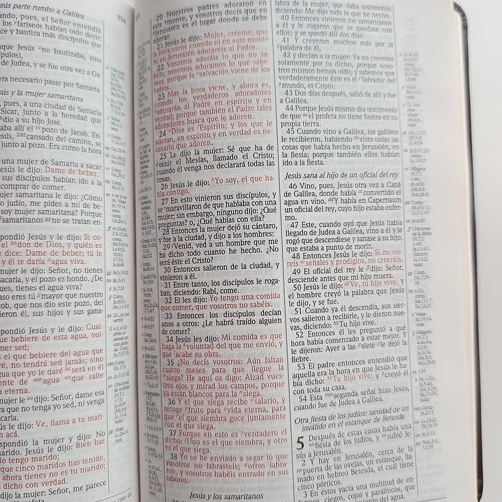 Biblia de Estudio Scofield Chocolate Reina Valera 1960 7