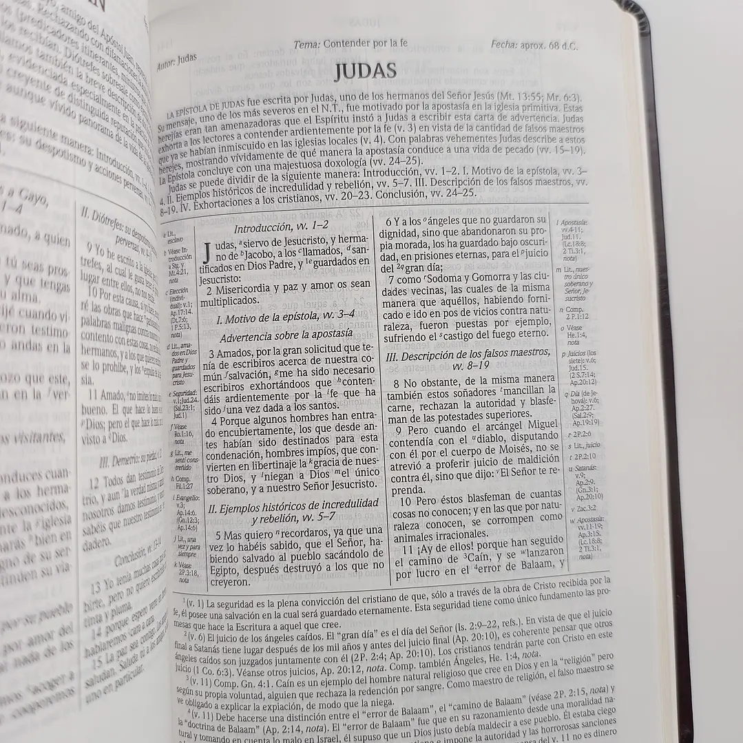 Biblia de Estudio Scofield Chocolate Reina Valera 1960 10