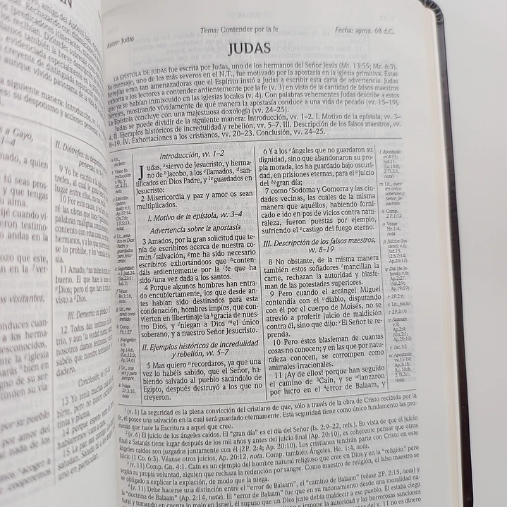 Biblia de Estudio Scofield Chocolate Reina Valera 1960 10