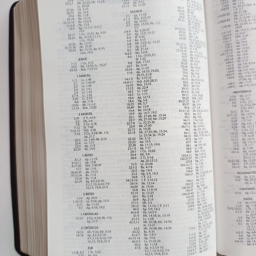 Biblia de Estudio Scofield Chocolate Reina Valera 1960 11