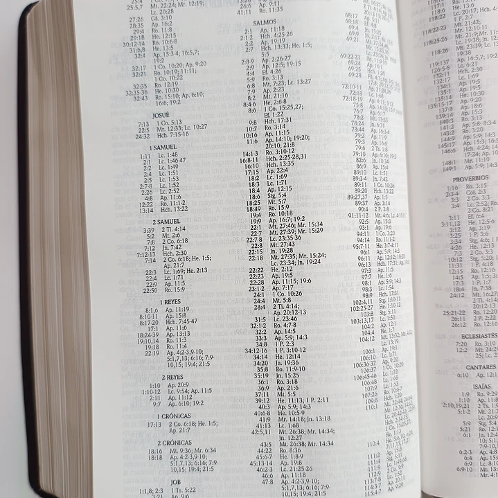 Biblia de Estudio Scofield Chocolate Reina Valera 1960 11