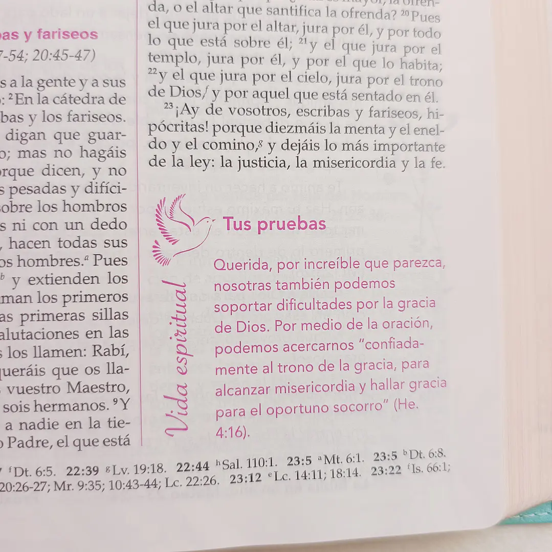 Biblia de la Mujer Conforme al Corazón de Dios – Reina Valera 1960, Tapa Imitación Piel blanca floral 8
