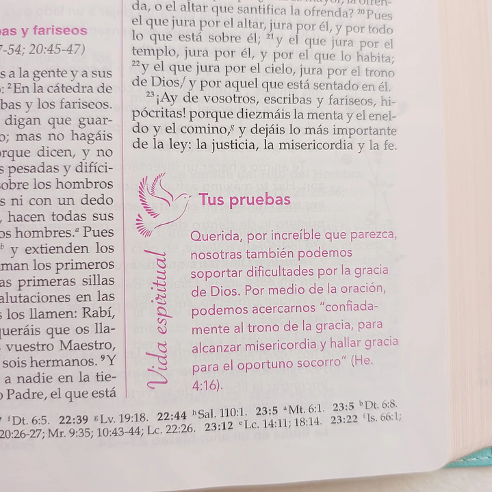 Biblia de la Mujer Conforme al Corazón de Dios – Reina Valera 1960, Tapa Imitación Piel blanca floral 8