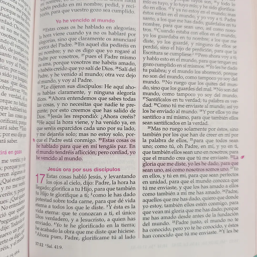 Biblia de la Mujer Conforme al Corazón de Dios – Reina Valera 1960, Tapa Imitación Piel blanca floral 12