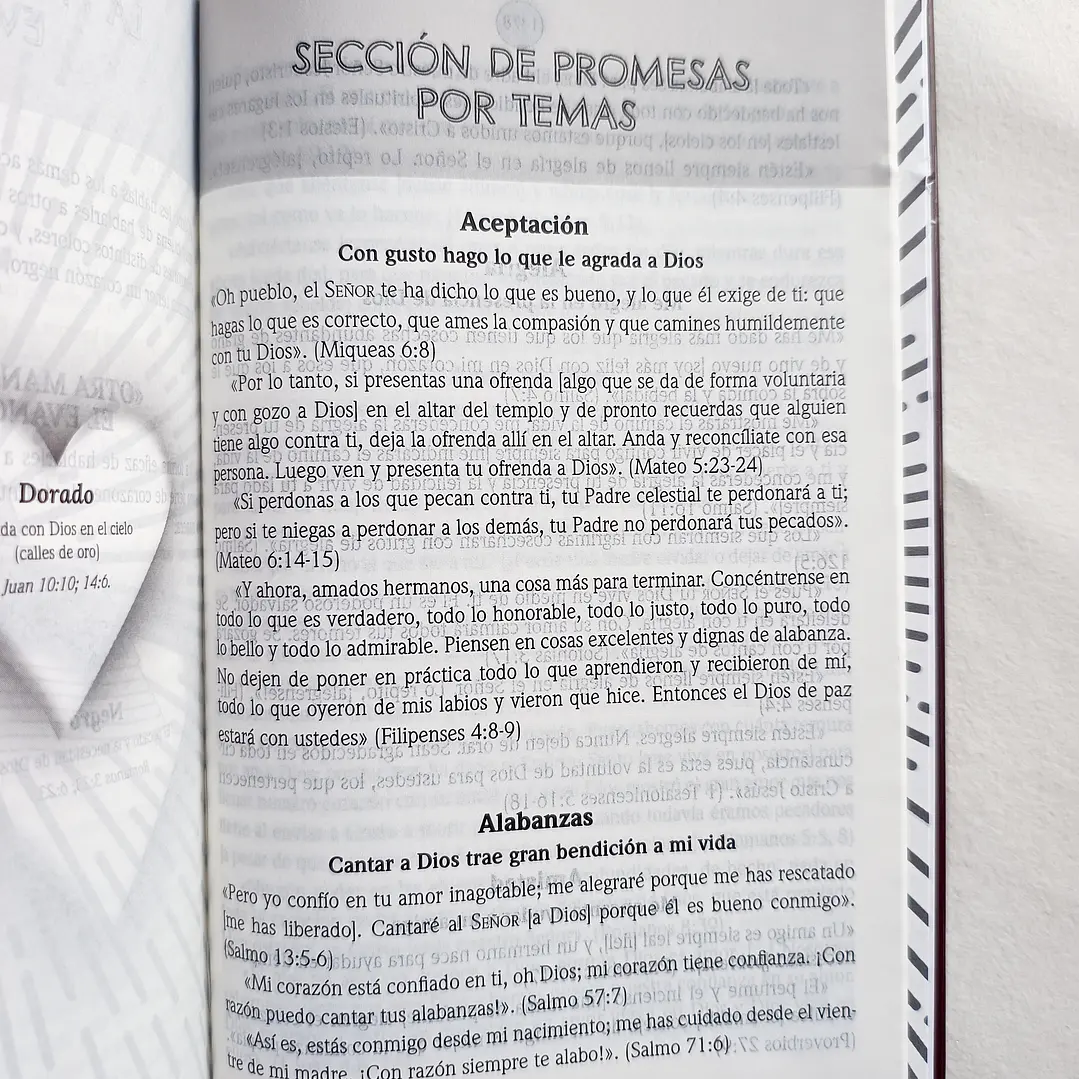Biblia de Promesas para Niños - Reina Valera 1960 3