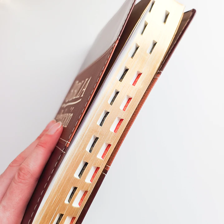 Biblia para la Predicación - Reina Valera 1960 4