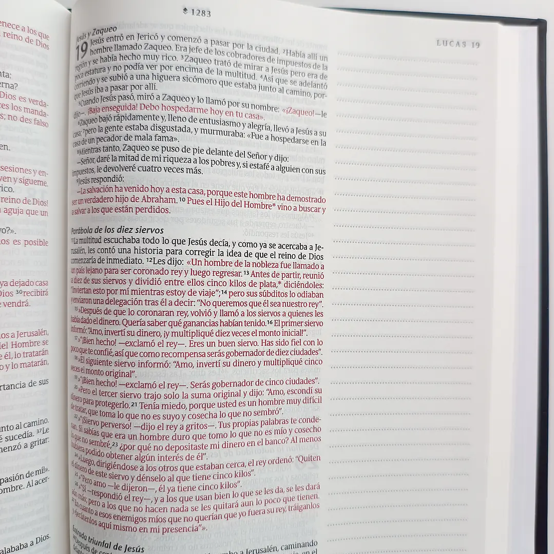Biblia de Apuntes - NTV (Nueva Traducción Viviente) 15