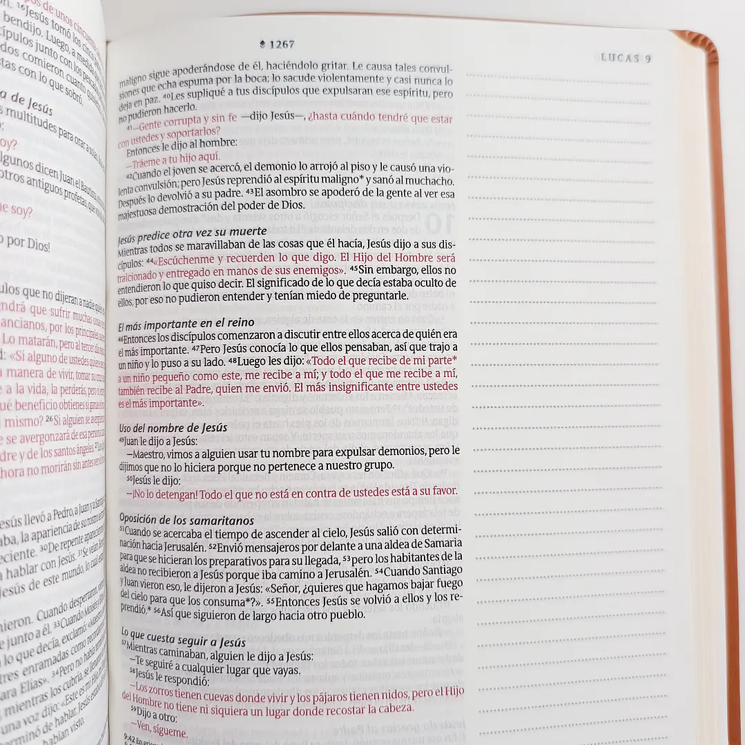 Biblia de Apuntes - NTV (Nueva Traducción Viviente) 11