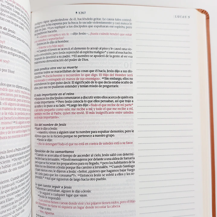 Biblia de Apuntes - NTV (Nueva Traducción Viviente) 11