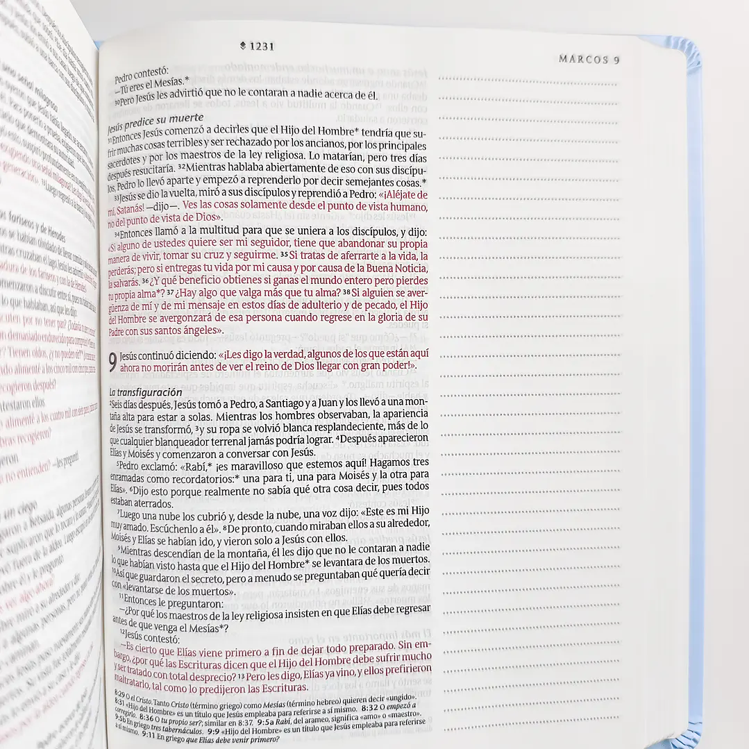 Biblia de Apuntes - NTV (Nueva Traducción Viviente) 7