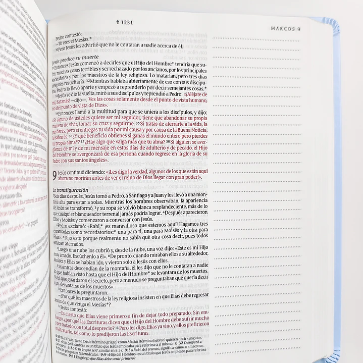Biblia de Apuntes - NTV (Nueva Traducción Viviente) 7