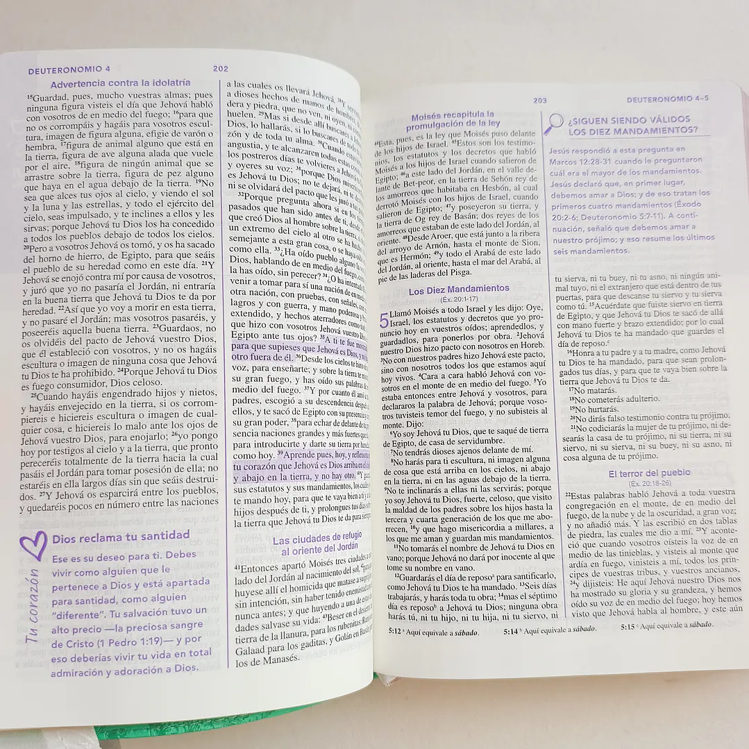 Biblia de una Joven Conforme al Corazón de Dios – Reina Valera 1960, Tapa Dura 4