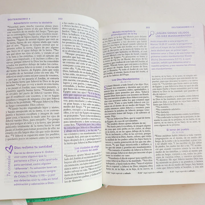 Biblia de una Joven Conforme al Corazón de Dios – Reina Valera 1960, Tapa Dura 4