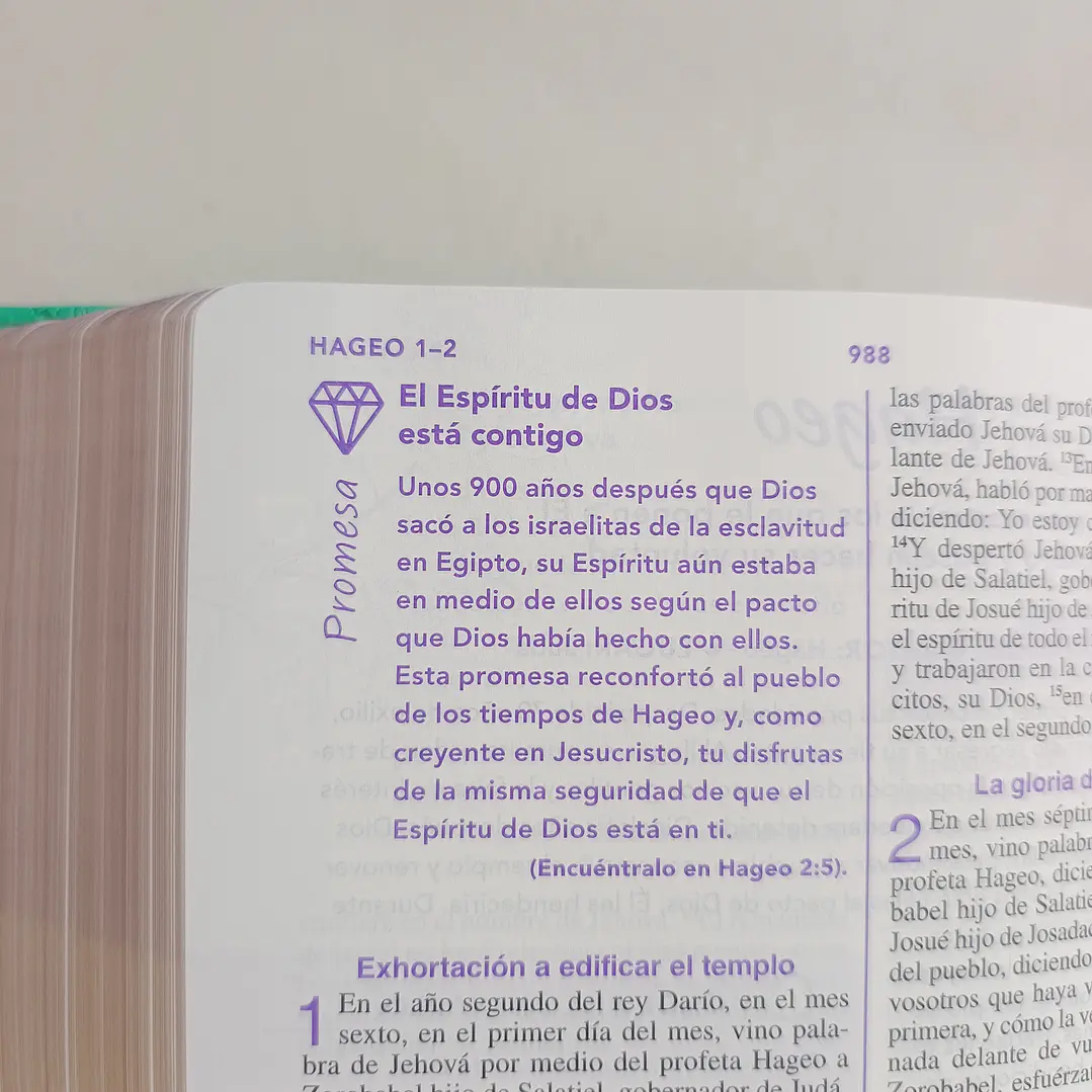 Biblia de una Joven Conforme al Corazón de Dios – Reina Valera 1960, Tapa Dura 7