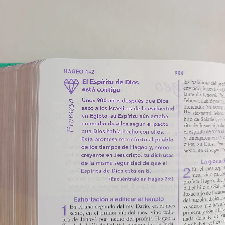 Biblia de una Joven Conforme al Corazón de Dios – Reina Valera 1960, Tapa Dura 7