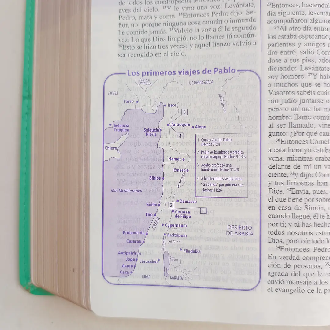Biblia de una Joven Conforme al Corazón de Dios – Reina Valera 1960, Tapa Dura 11