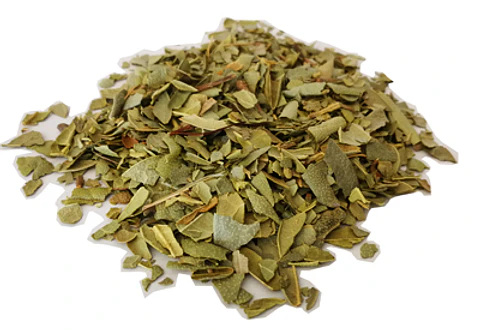 Infusión Boldo