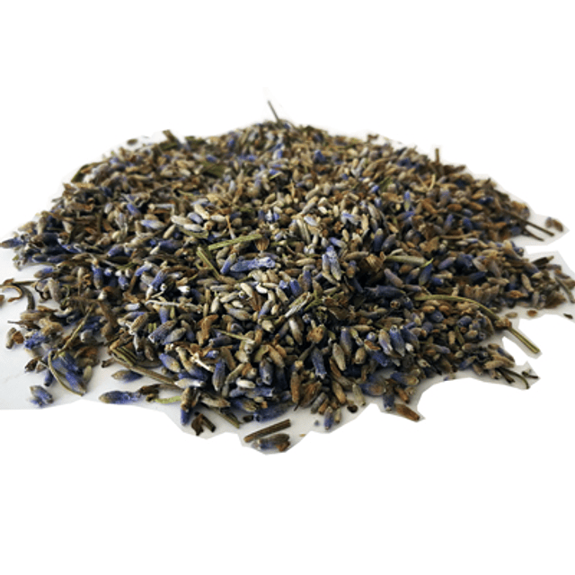 Infusión Lavanda 