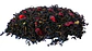 Té Negro - Cranberry Fields - Miniatura 1