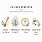 Té Verde Sencha Lemongrass Jengibre - Miniatura 4