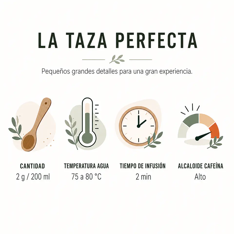 Té Verde  Gunpowder Menta Moroccan  4