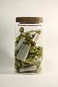 Frasco Vidrio tapa madera Caluga Matcha Latte 300 Gramos - Miniatura 1