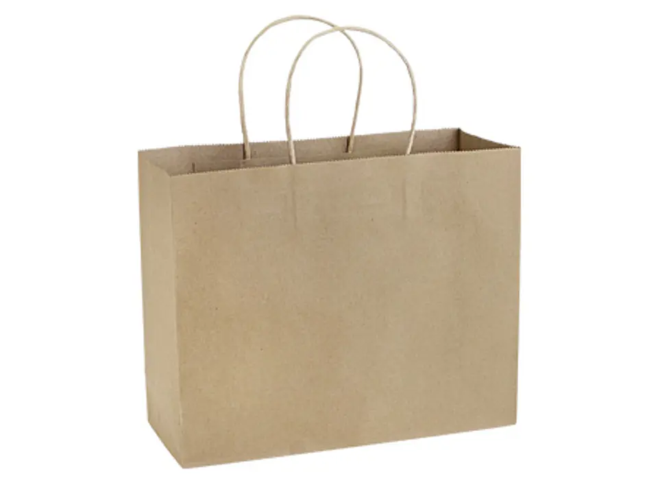Bolsa de Papel 120g/m2 30 x 25 x 10 cm E103 1