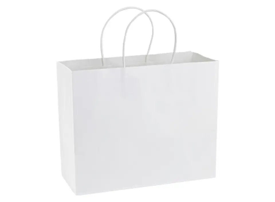 Bolsa de Papel 120g/m2 30 x 25 x 10 cm E103 2