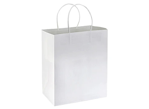 Bolsa de Papel 120g/m2 25 x 30 x 17 cm E104