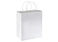Bolsa de Papel 120g/m2 25 x 30 x 17 cm E104 - Miniatura 2