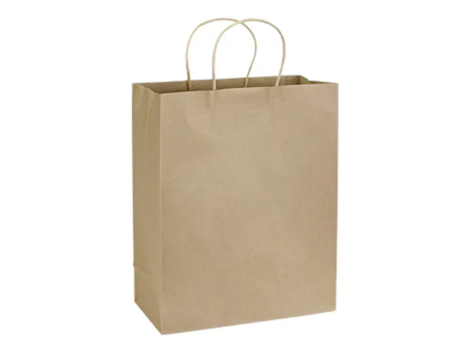 Bolsa de Papel 120g/m2 28 x 36 x 13 cm E105 1