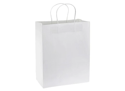 Bolsa de Papel 120g/m2 28 x 36 x 13 cm E105