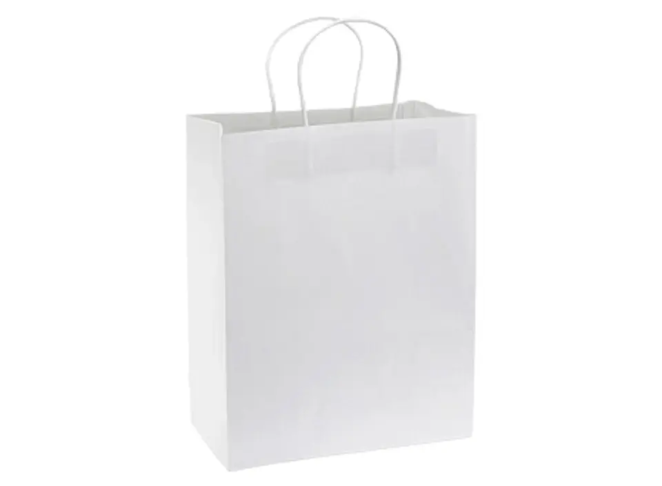 Bolsa de Papel 120g/m2 28 x 36 x 13 cm E105 2