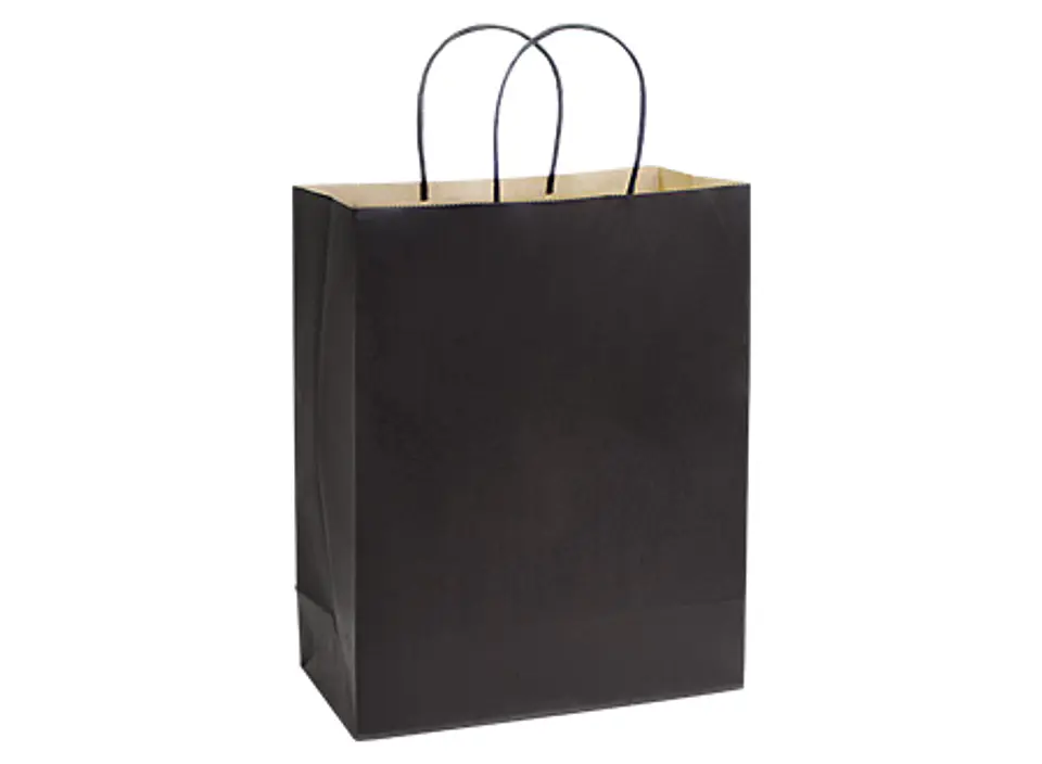 Bolsa de Papel 120g/m2 28 x 36 x 13 cm E105 3