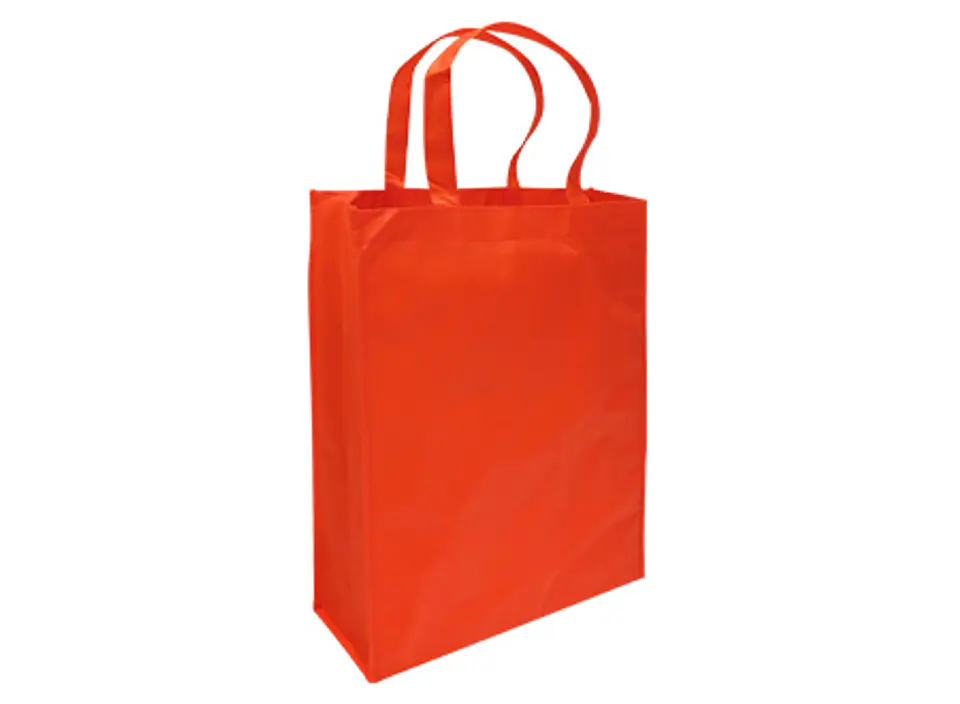 Bolsa Reutilizable Conference E5 30 x 38 x 8.5 cm 3